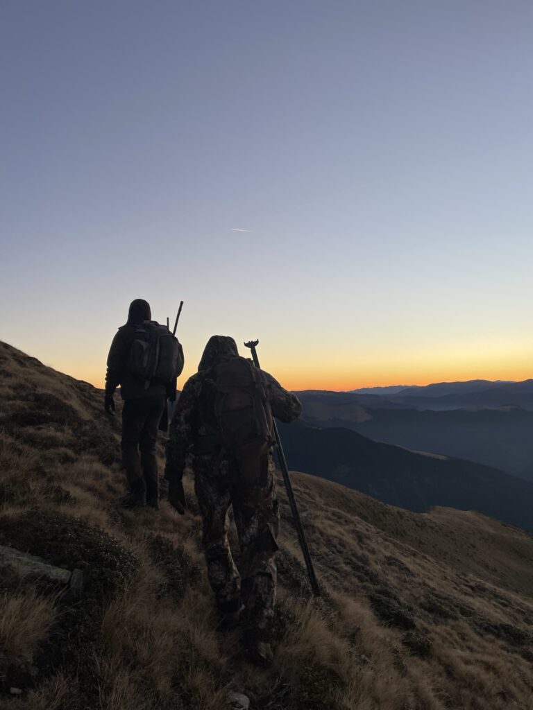 Jagt på gemse i Rumænien 